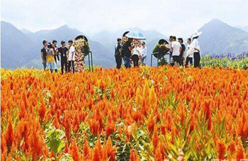 云南省脱贫县农村居民收入持续增长