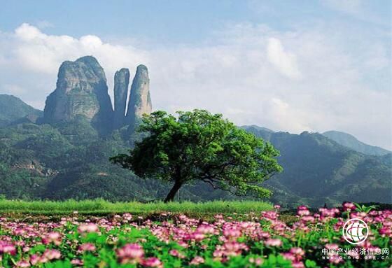 浙江衢州：建美丽“大花园”促旅游转型升级