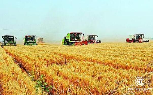 河南:粮食大省迈向高质量发展