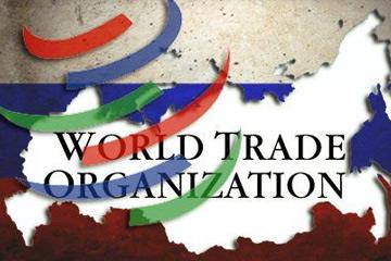 世界贸易组织（WTO）改革进入关键期