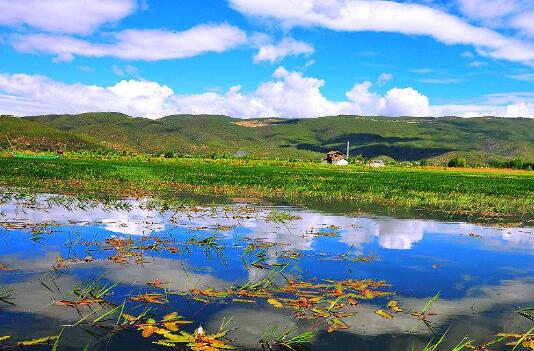 推进湿地全面保护和高质量发展 湿地生态修复技术规程发布实施