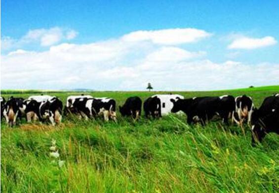 青海：7项重点措施保障农牧民收入持续增长