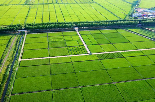 陕西已建成高标准农田1941万亩 2019年将再建200万亩
