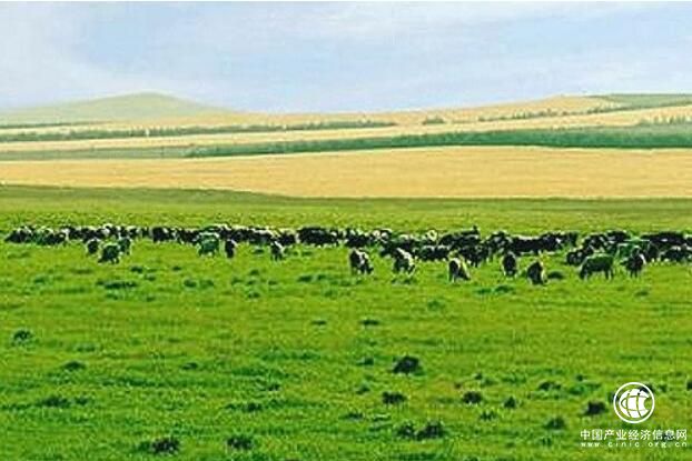 内蒙古自治区将加速推进草畜一体化进程