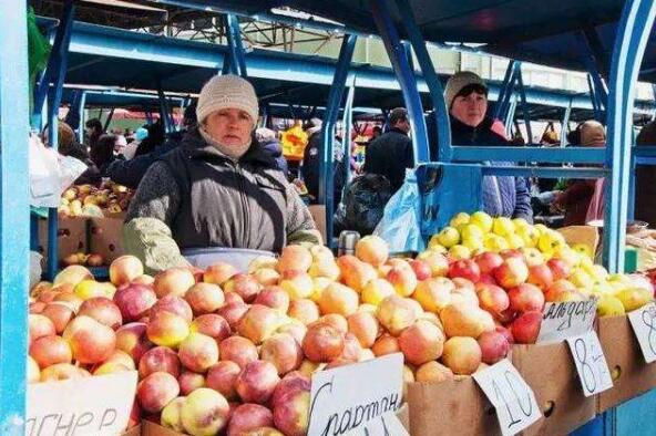 又迎粮食高产年 俄罗斯力推农产品出口