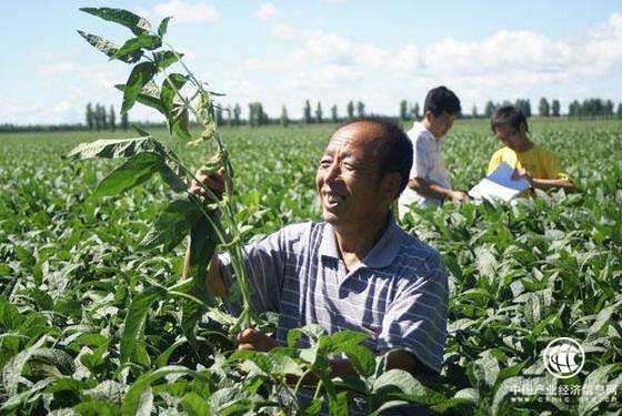黑龙江海伦：大豆产业推动脱贫攻坚