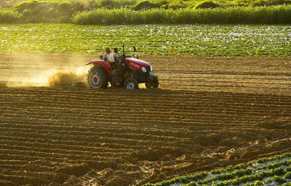 农业农村部：力争全年农业生产开门红