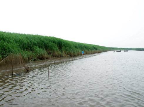 工农业用水透支 治理辽河生态“三高”问题亟待解决