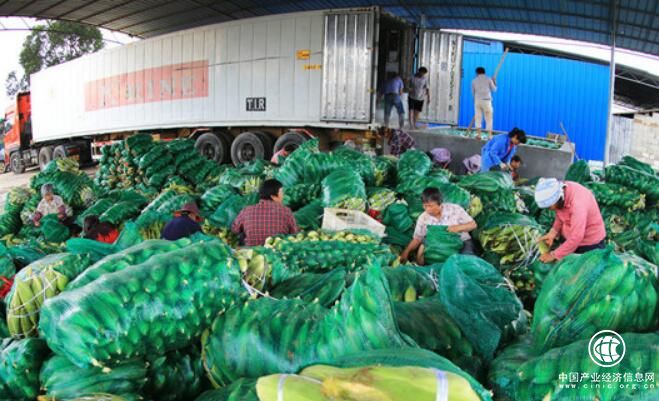从按吨卖到论个卖——看“中国甜玉米之乡”横县的产业经