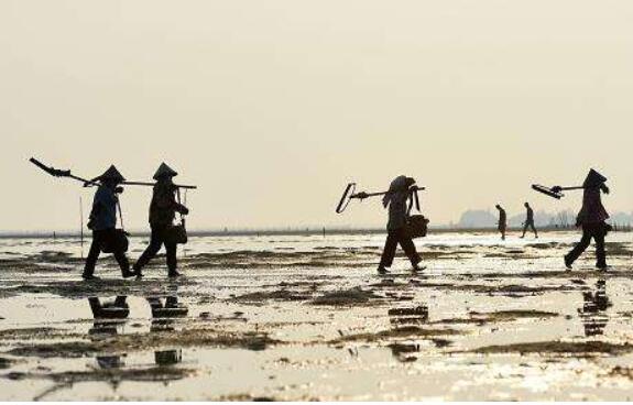 广西：创新渔业模式 力促扶贫攻坚
