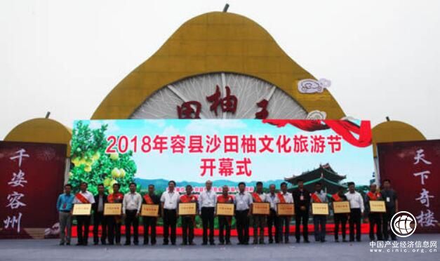 “中国沙田柚之乡”广西容县举办2018沙田柚文化旅游节