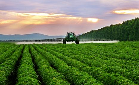 《国家质量兴农战略规划（2018-2022年）》审议通过