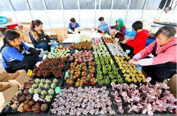 内蒙古消费市场呈现持续回升势头