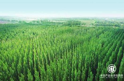 三北工程40年提高森林覆盖率8.5个百分点