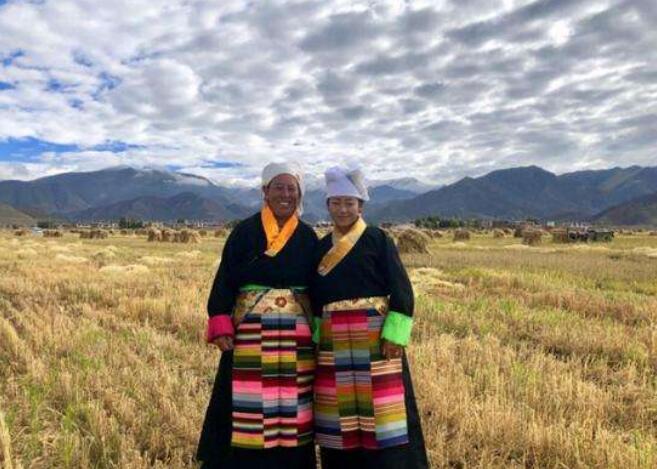西藏农牧业实现历史性跨越： 草丰牛羊壮 沃野尽飘香