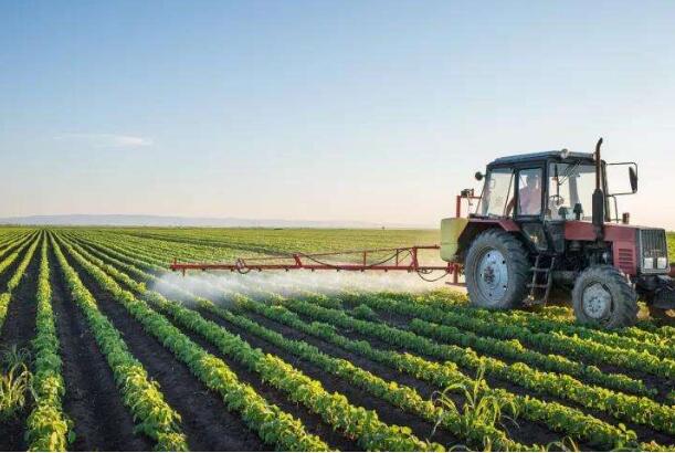 中国需求推动巴西农产品出口创纪录