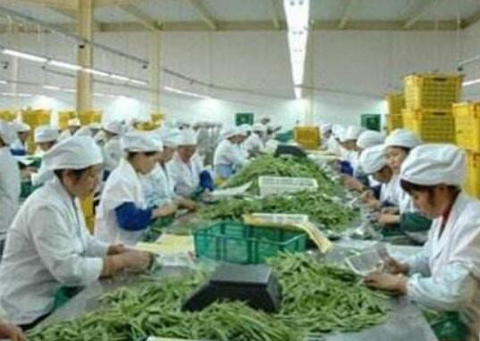 从“大粮仓”迈向“大厨房”——吉林市农产品加工业发展综述