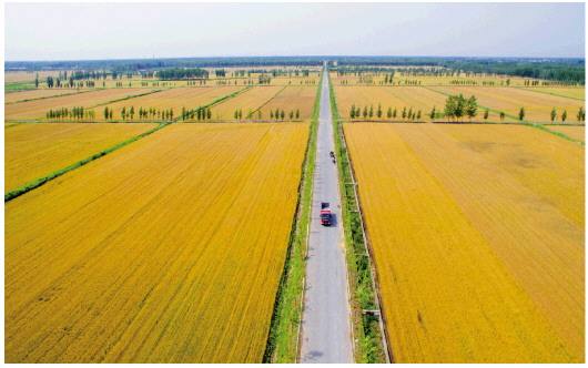 绘就乡村全面振兴新画卷——专家解读《乡村全面振兴规划（2024－2027年）》