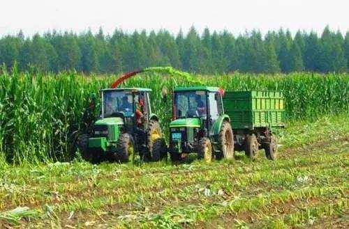 四川省发布2023年上半年饲草生产形势分析报告