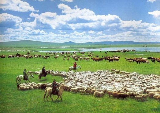 内蒙古自治区5年累计减贫141.76万人