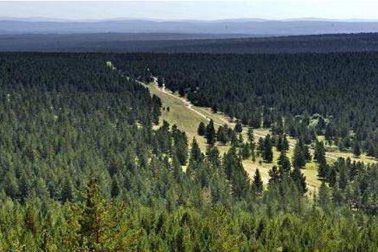 内蒙古森林面积70年增加2.5亿亩