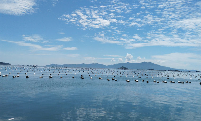 向海而行：蓝色动力再造“海上新广东”