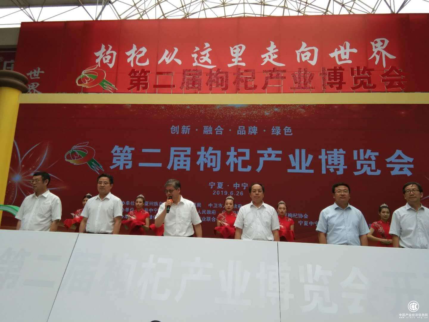 创新·融合·品牌·绿色 第二届枸杞产业博览会在宁夏中宁开幕
