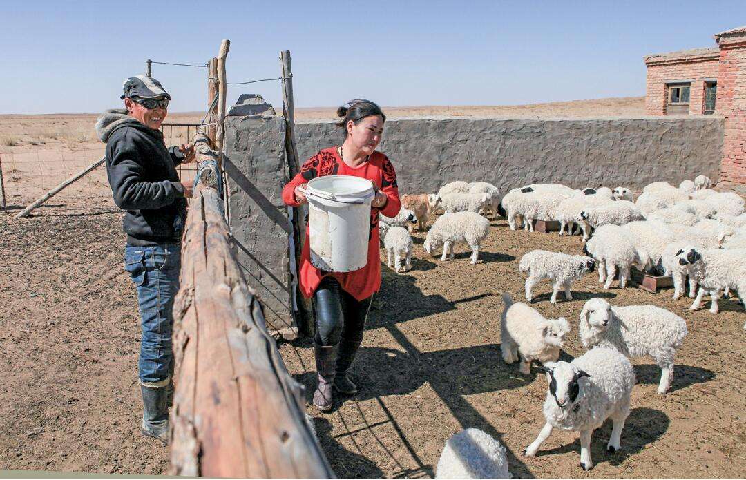 内蒙古提供“暖心煤”保障农牧民温暖过冬