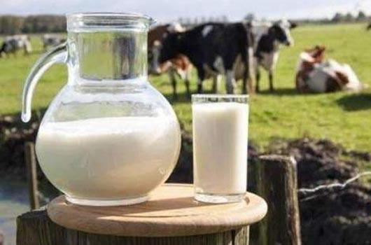 2022年中国奶商指数增至63.2分 公众饮奶知识和饮奶行为稳中有进