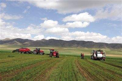 内蒙古包头市精准发力全面推进农牧业产业振兴
