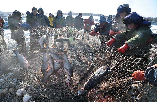 黑龙江省加快推进水产养殖业绿色发展 建设北国鱼米之乡