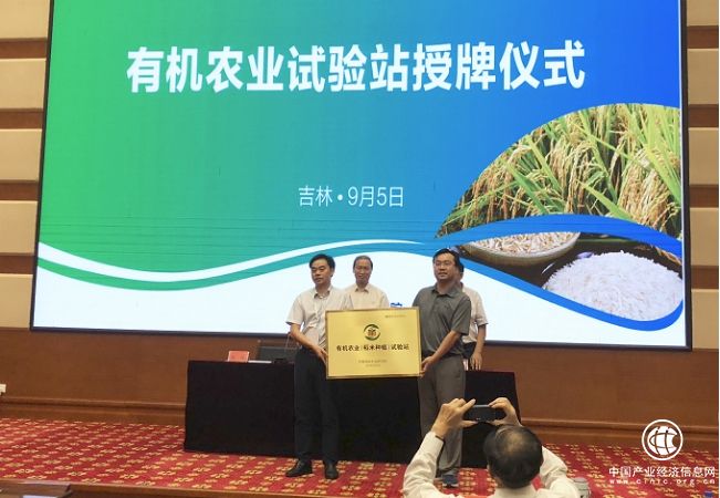 有机农业稻米种植试验站落户丰智集团 亚灿米成有机典范