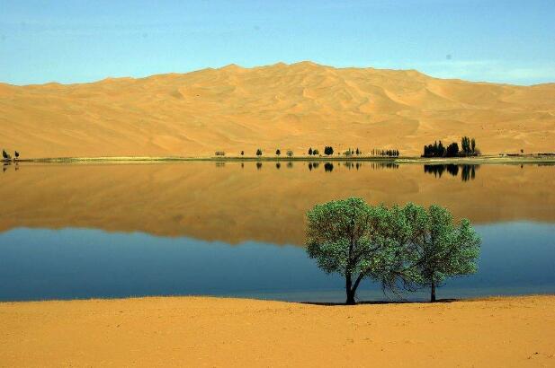 巴丹吉林沙漠获评“中国森林旅游美景推介地——最美沙漠”