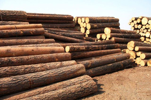 木材产业：从千年历史走向高质量未来