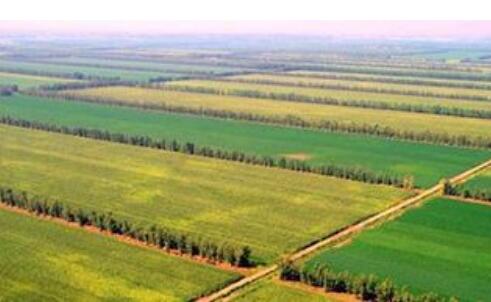 四川高标准农田保有量到2030年将达6353万亩