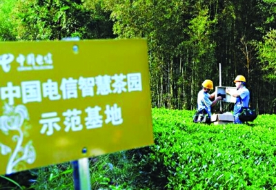中国电信以“网”惠“三农” 激活乡村振兴发展新动能