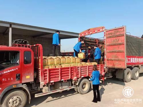 捐赠20吨爱心蔬菜 丰富武汉市民菜篮子