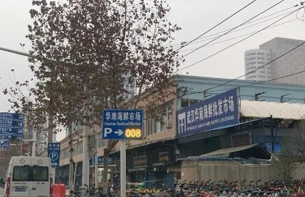 我在华南海鲜市场经历武汉封城15天