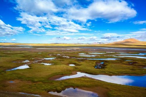 两部门印发湿地保护规划：到2025年新增国家重要湿地50处