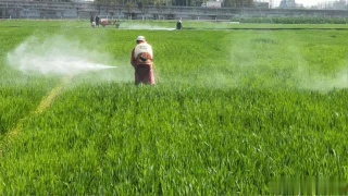 品牌农业引领农业高质量发展 20200218042742624.jpg