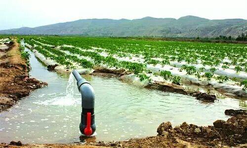 山西发布农业用水定额标准