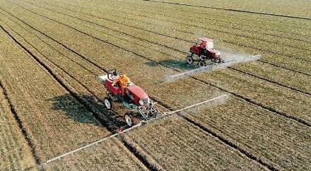 全国早稻栽插超九成 春季农业生产“压茬”推进