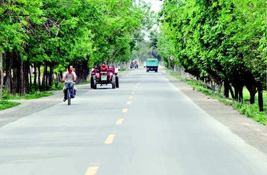 《农村公路中长期发展纲要》解读