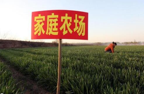 安徽省家庭农场数量连续十年全国第一