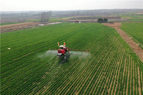 青岛西海岸新区大场镇：农家三月春来早，智慧农业助春耕