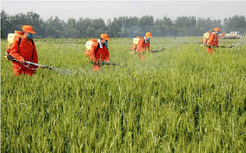李克强总理签令公布农作物病虫害防治条例 5月1日起施行
