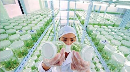 《河南省“十四五”现代种业提升工程建设实施方案》印发 