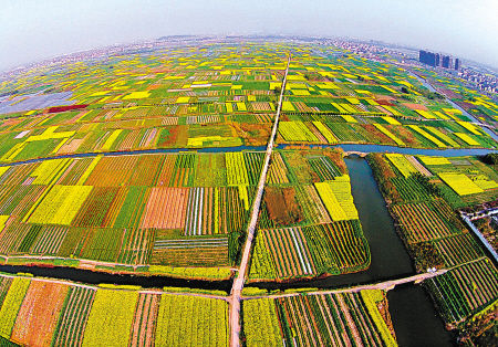 以农造景　以景促旅 看“北京农田观光季”如何促进景观农业发展