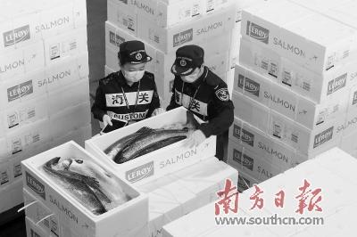 前4月深圳海关 进出口食品比增24.06%