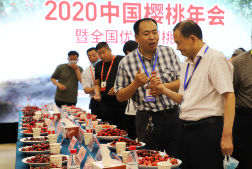 2020中国樱桃年会暨全国优质樱桃大赛在临沂市举行